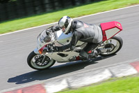 Advanced Group White Bikes